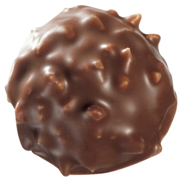 ROCHER MIT MILCHSCHOKOLADE