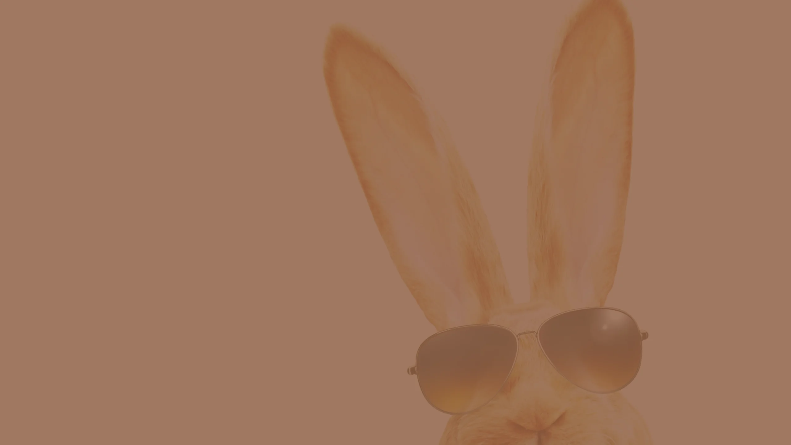 Image d'un lapin pour illustrer nos chocolats de Pâques