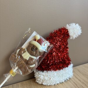 Weihnachtsschnuller Bär